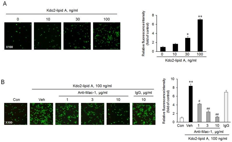 https://cdn.ncbi.nlm.nih.gov/pmc/blobs/ab63/4130585/3152271127c7/pone.0104588.g002.jpg