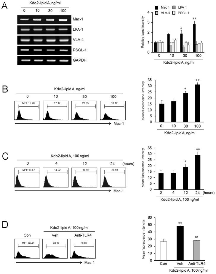 https://cdn.ncbi.nlm.nih.gov/pmc/blobs/ab63/4130585/f62c69313279/pone.0104588.g001.jpg