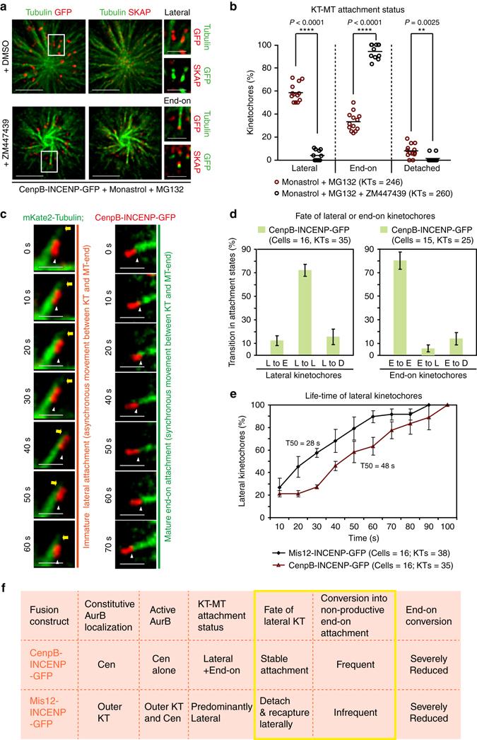 https://cdn.ncbi.nlm.nih.gov/pmc/blobs/ab63/5532248/b00eb4aa46c9/41467_2017_209_Fig3_HTML.jpg