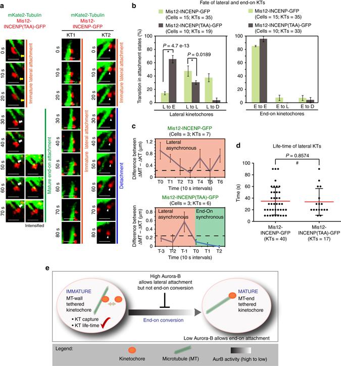 https://cdn.ncbi.nlm.nih.gov/pmc/blobs/ab63/5532248/fb51e5583b6b/41467_2017_209_Fig2_HTML.jpg