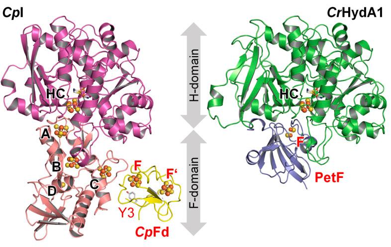 https://cdn.ncbi.nlm.nih.gov/pmc/blobs/ab66/12153468/216dbbf1bc3c/d5sc00550g-f1.jpg