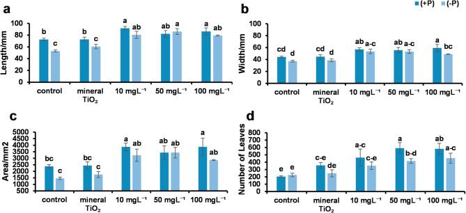 https://cdn.ncbi.nlm.nih.gov/pmc/blobs/ab66/12238376/2e8a8bcb3110/41598_2025_7987_Fig3_HTML.jpg