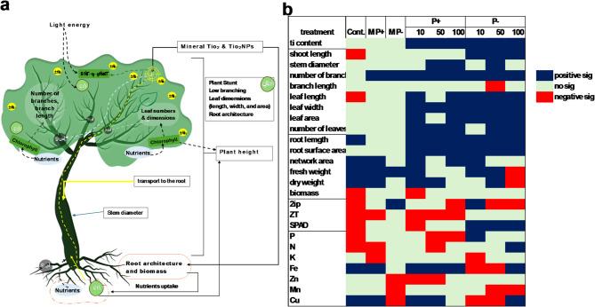 https://cdn.ncbi.nlm.nih.gov/pmc/blobs/ab66/12238376/5356dadc1ef8/41598_2025_7987_Fig6_HTML.jpg