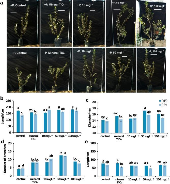 https://cdn.ncbi.nlm.nih.gov/pmc/blobs/ab66/12238376/8494c8d0c7eb/41598_2025_7987_Fig2_HTML.jpg