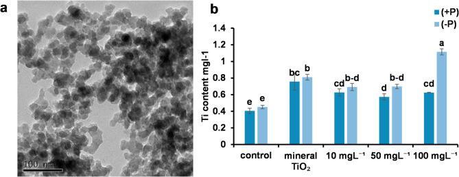 https://cdn.ncbi.nlm.nih.gov/pmc/blobs/ab66/12238376/be2e1b652a5f/41598_2025_7987_Fig1_HTML.jpg