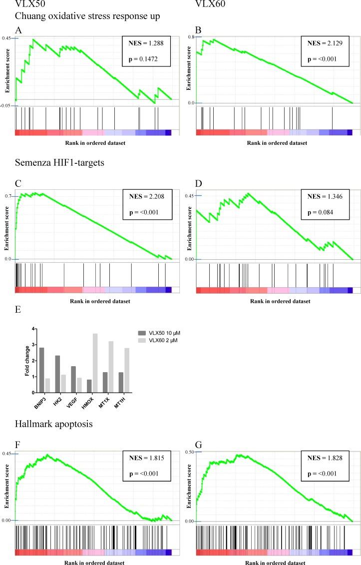 https://cdn.ncbi.nlm.nih.gov/pmc/blobs/ab66/5444738/e3e7651ff1b1/oncotarget-08-30217-g005.jpg
