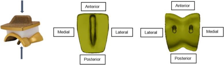 https://cdn.ncbi.nlm.nih.gov/pmc/blobs/ab69/9112518/b5ab317e2207/12891_2022_5428_Fig4_HTML.jpg