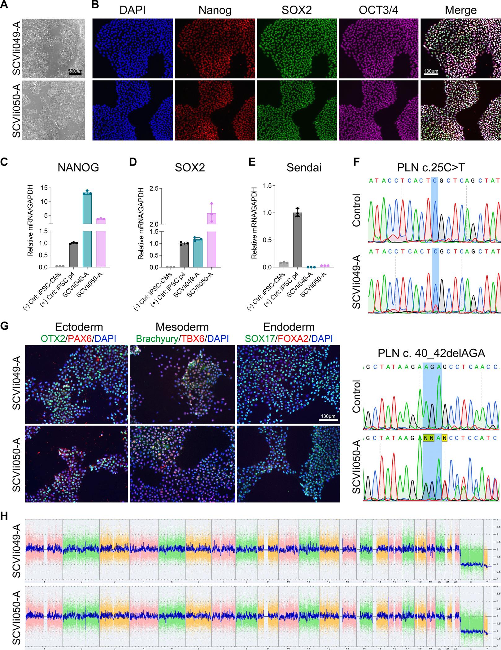 https://cdn.ncbi.nlm.nih.gov/pmc/blobs/ab6f/9681708/16aa236dc514/nihms-1827839-f0001.jpg