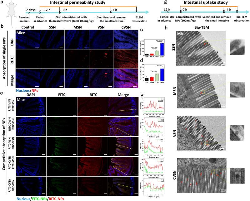 https://cdn.ncbi.nlm.nih.gov/pmc/blobs/ab70/10673925/427f19682d47/41467_2023_43465_Fig4_HTML.jpg