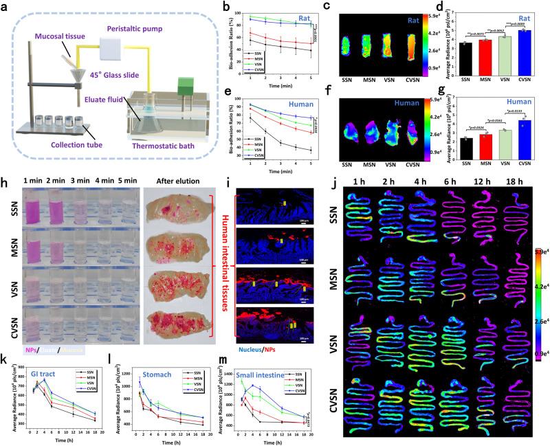 https://cdn.ncbi.nlm.nih.gov/pmc/blobs/ab70/10673925/4e8170eebf44/41467_2023_43465_Fig3_HTML.jpg