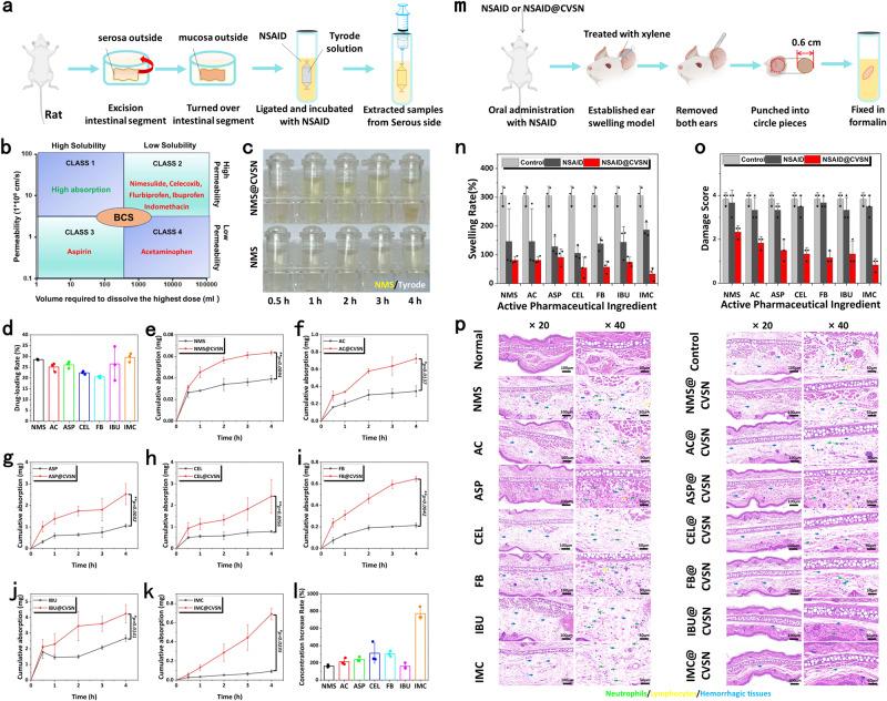 https://cdn.ncbi.nlm.nih.gov/pmc/blobs/ab70/10673925/51f2a9d40606/41467_2023_43465_Fig8_HTML.jpg