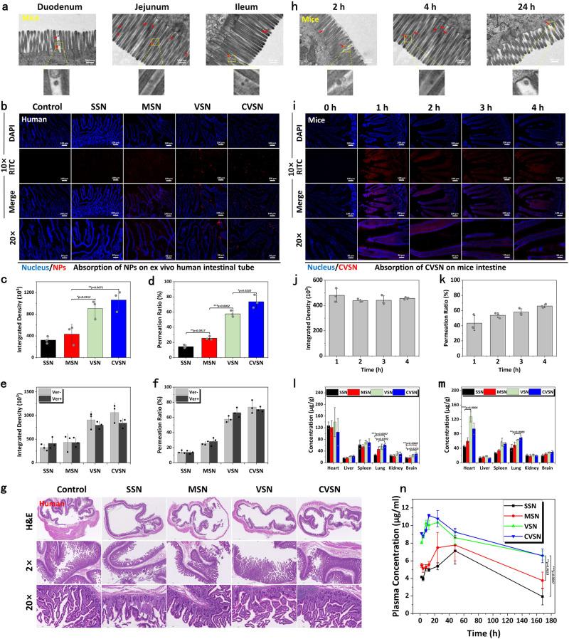https://cdn.ncbi.nlm.nih.gov/pmc/blobs/ab70/10673925/97f67a2414ee/41467_2023_43465_Fig5_HTML.jpg