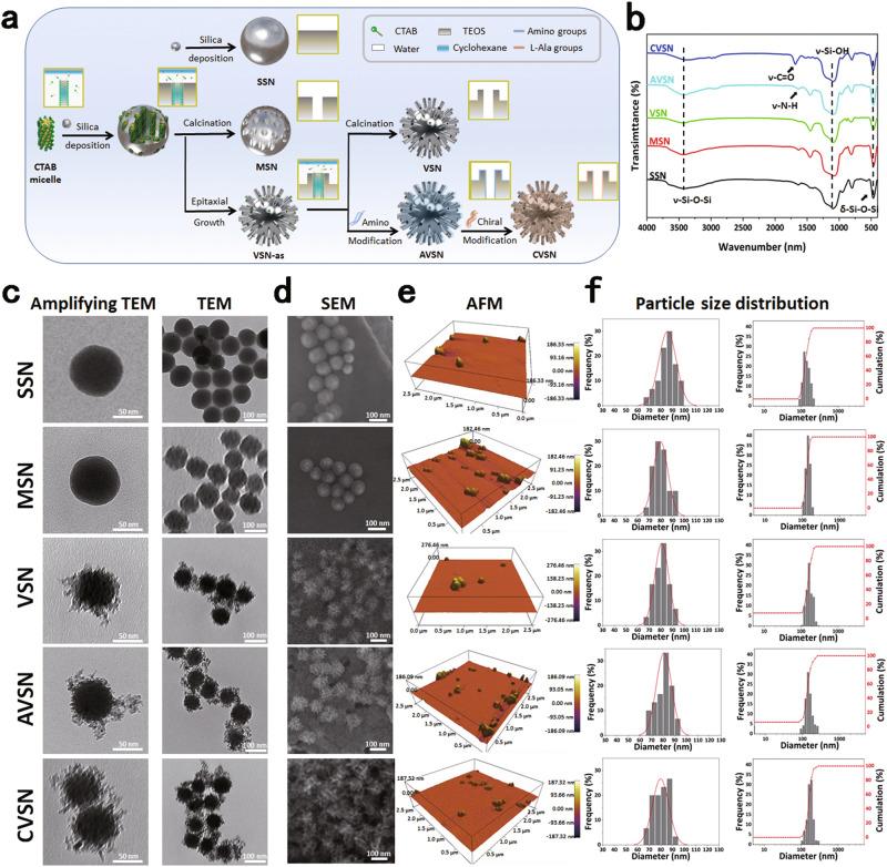 https://cdn.ncbi.nlm.nih.gov/pmc/blobs/ab70/10673925/a955411962c6/41467_2023_43465_Fig1_HTML.jpg