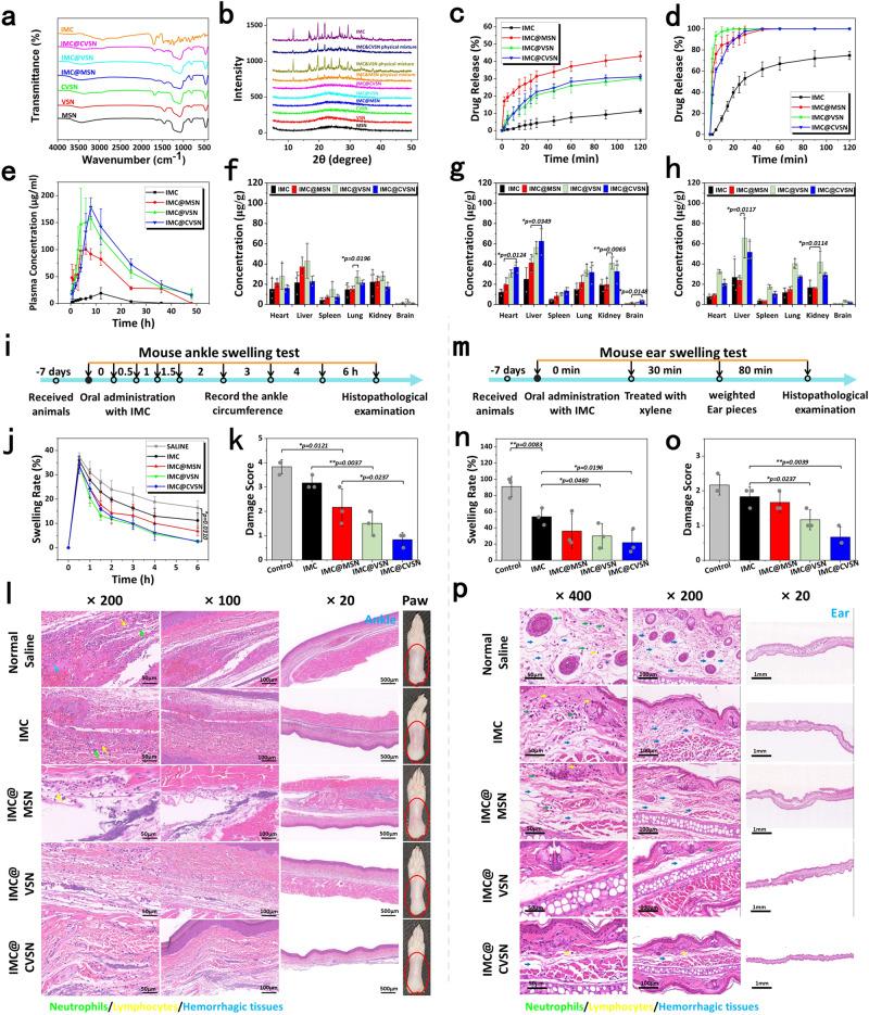 https://cdn.ncbi.nlm.nih.gov/pmc/blobs/ab70/10673925/fda0b43fcc5f/41467_2023_43465_Fig7_HTML.jpg