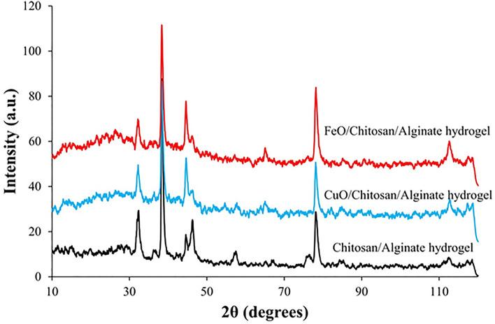 https://cdn.ncbi.nlm.nih.gov/pmc/blobs/ab70/10762099/684a4bd8e376/41598_2023_50664_Fig4_HTML.jpg