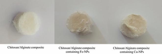 https://cdn.ncbi.nlm.nih.gov/pmc/blobs/ab70/10762099/91832aaf984c/41598_2023_50664_Fig1_HTML.jpg