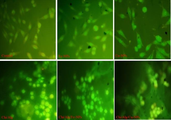 https://cdn.ncbi.nlm.nih.gov/pmc/blobs/ab70/10762099/9eddf4eddaa0/41598_2023_50664_Fig13_HTML.jpg