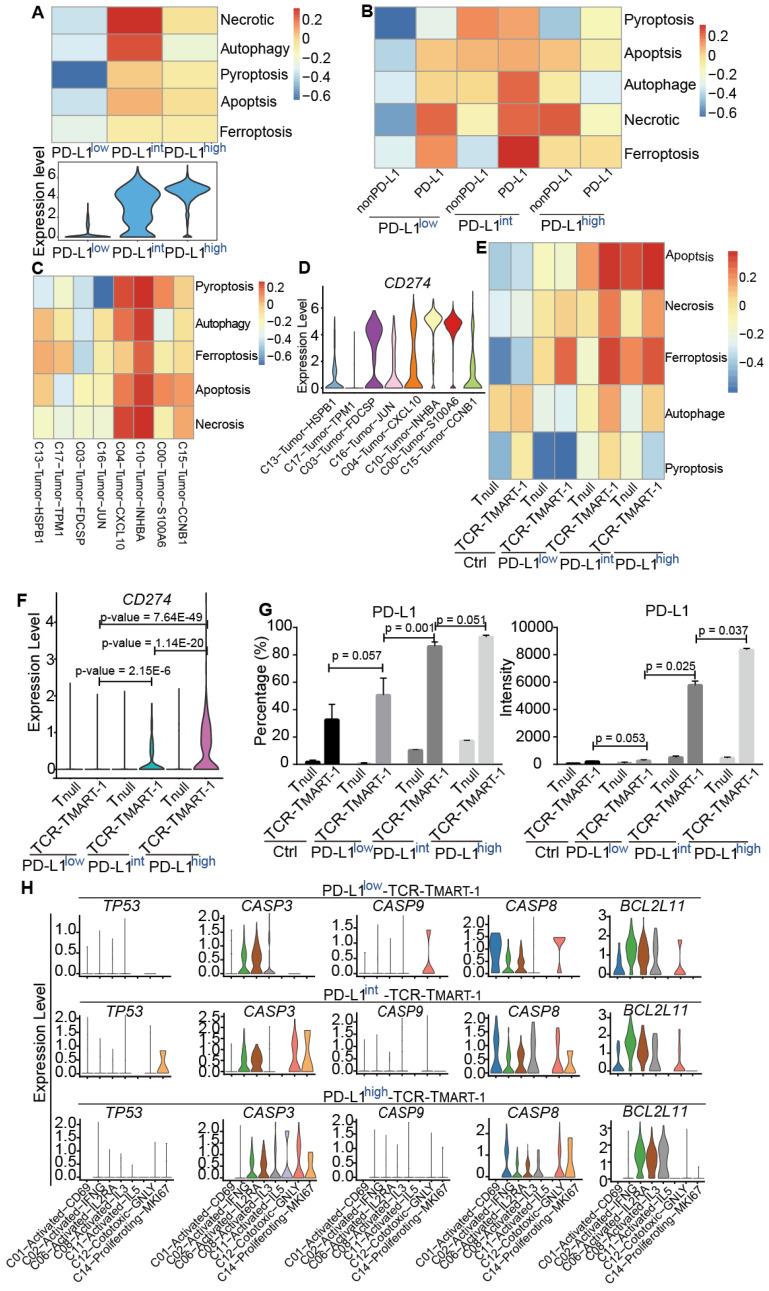 https://cdn.ncbi.nlm.nih.gov/pmc/blobs/ab70/7978322/c31a05f25354/thnov11p4957g006.jpg