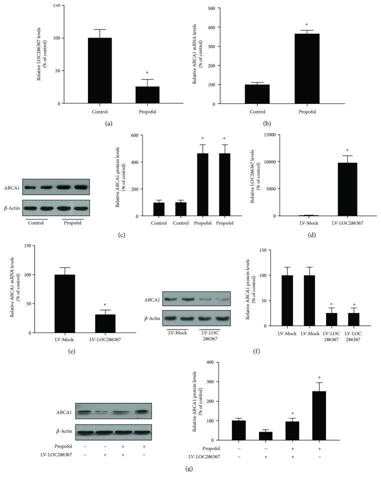 https://cdn.ncbi.nlm.nih.gov/pmc/blobs/ab74/6311839/6bb03f421ca9/MI2018-8907143.001.jpg
