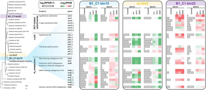 https://cdn.ncbi.nlm.nih.gov/pmc/blobs/ab74/8302695/02bb394d93f9/41598_2021_94628_Fig4_HTML.jpg
