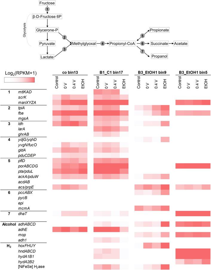 https://cdn.ncbi.nlm.nih.gov/pmc/blobs/ab74/8302695/5444a65c32fb/41598_2021_94628_Fig3_HTML.jpg