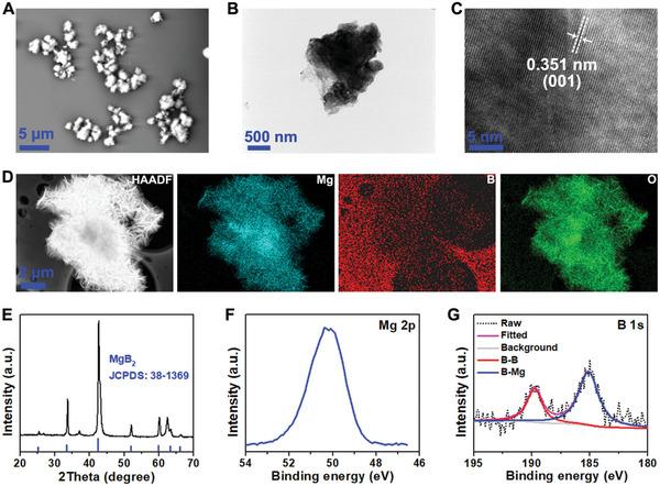 https://cdn.ncbi.nlm.nih.gov/pmc/blobs/ab75/11186059/da3c19b8e596/ADVS-11-2309622-g005.jpg