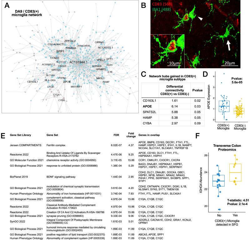 https://cdn.ncbi.nlm.nih.gov/pmc/blobs/ab75/11237088/6f300cef269a/41467_2024_49790_Fig4_HTML.jpg