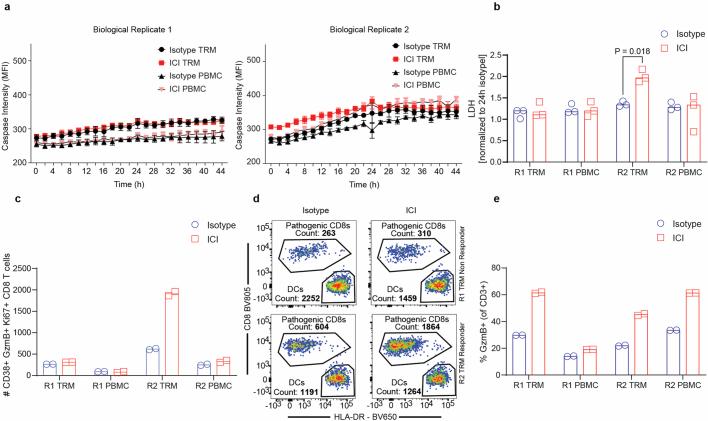 https://cdn.ncbi.nlm.nih.gov/pmc/blobs/ab75/11374719/6a196543eca2/41586_2024_7791_Fig11_ESM.jpg