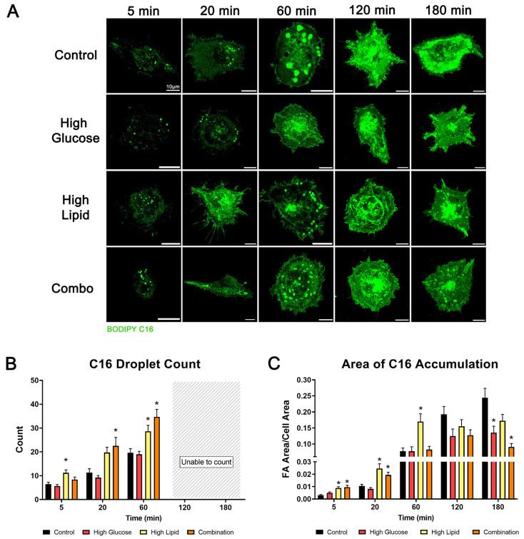 https://cdn.ncbi.nlm.nih.gov/pmc/blobs/ab77/11546831/21bea995aac8/ijms-25-11534-g007.jpg