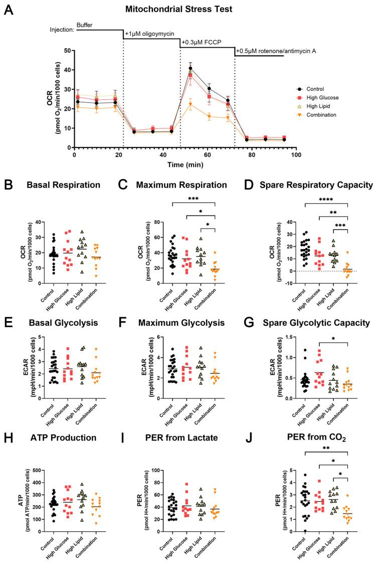 https://cdn.ncbi.nlm.nih.gov/pmc/blobs/ab77/11546831/d1fbc81b99cb/ijms-25-11534-g003.jpg