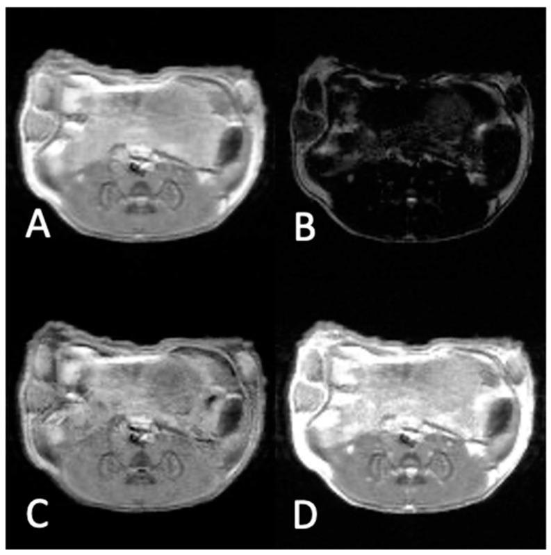 https://cdn.ncbi.nlm.nih.gov/pmc/blobs/ab7a/10142138/e8ce1008d0e5/materials-16-03096-g007.jpg