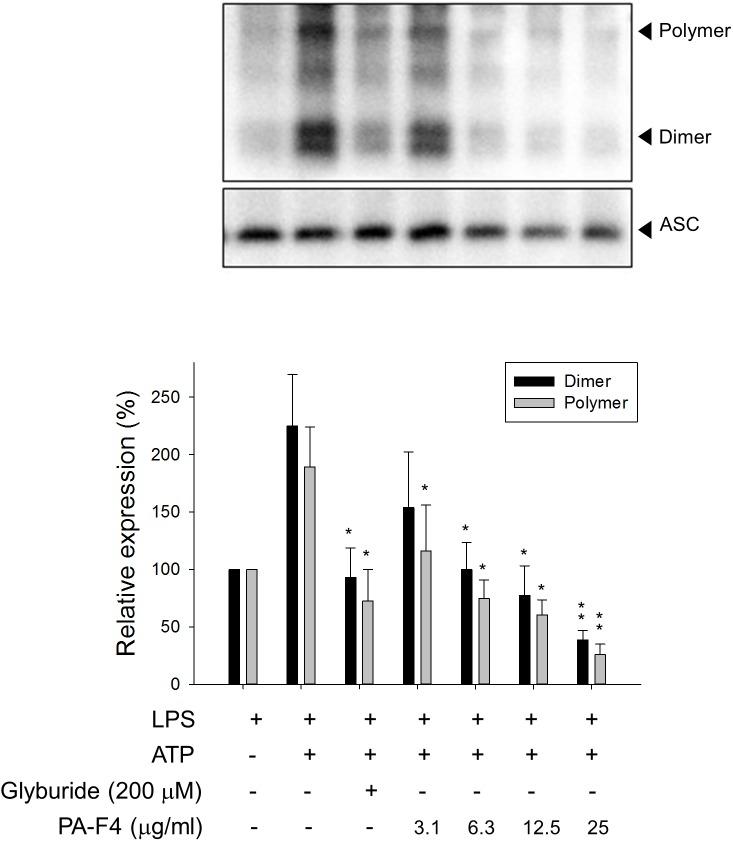 https://cdn.ncbi.nlm.nih.gov/pmc/blobs/ab7a/6546882/0cd9595a8ec0/fphar-10-00573-g004.jpg