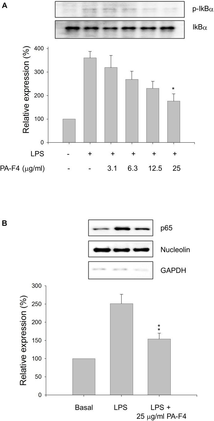 https://cdn.ncbi.nlm.nih.gov/pmc/blobs/ab7a/6546882/82a451e6abff/fphar-10-00573-g002.jpg