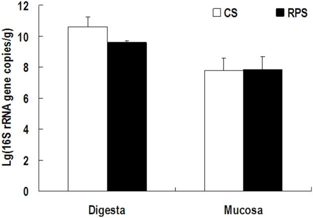 https://cdn.ncbi.nlm.nih.gov/pmc/blobs/ab7c/4548152/8d7f230d39e7/fmicb-06-00877-g0003.jpg