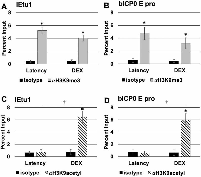 https://cdn.ncbi.nlm.nih.gov/pmc/blobs/ab7d/12363199/7cfb3a50d634/jvi.00747-25.f007.jpg