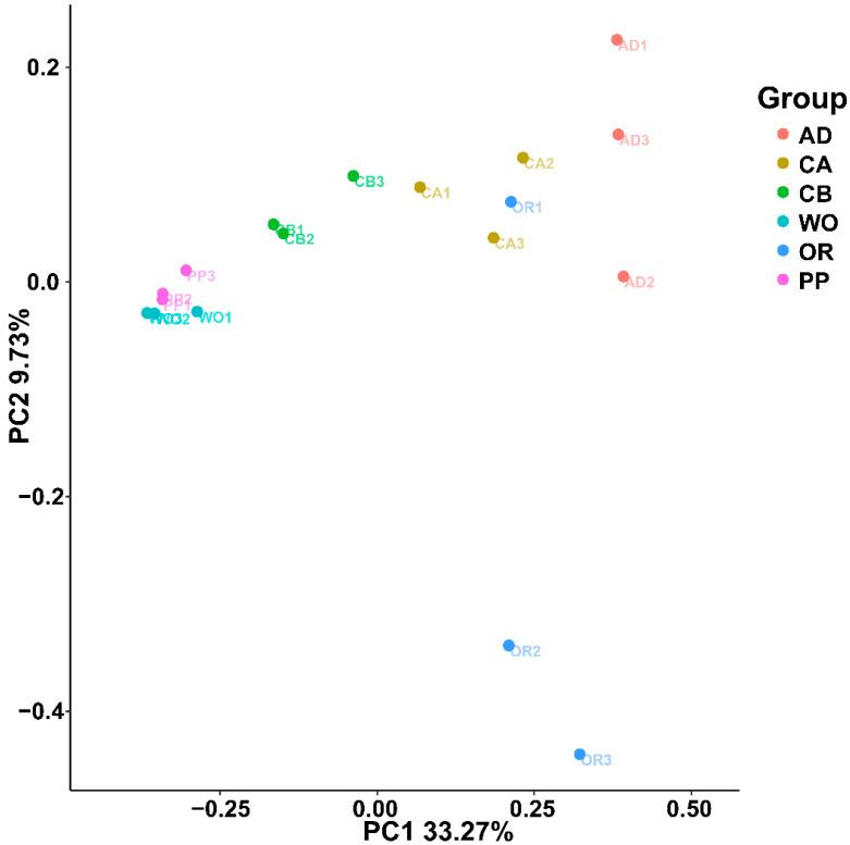 https://cdn.ncbi.nlm.nih.gov/pmc/blobs/ab7d/8540368/ce3aae0608a5/ijms-22-11266-g004.jpg