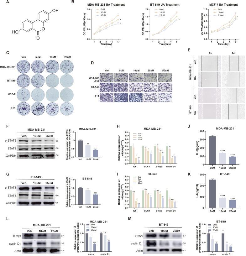 https://cdn.ncbi.nlm.nih.gov/pmc/blobs/ab7f/11954813/4c4b0d0eba35/gr1.jpg
