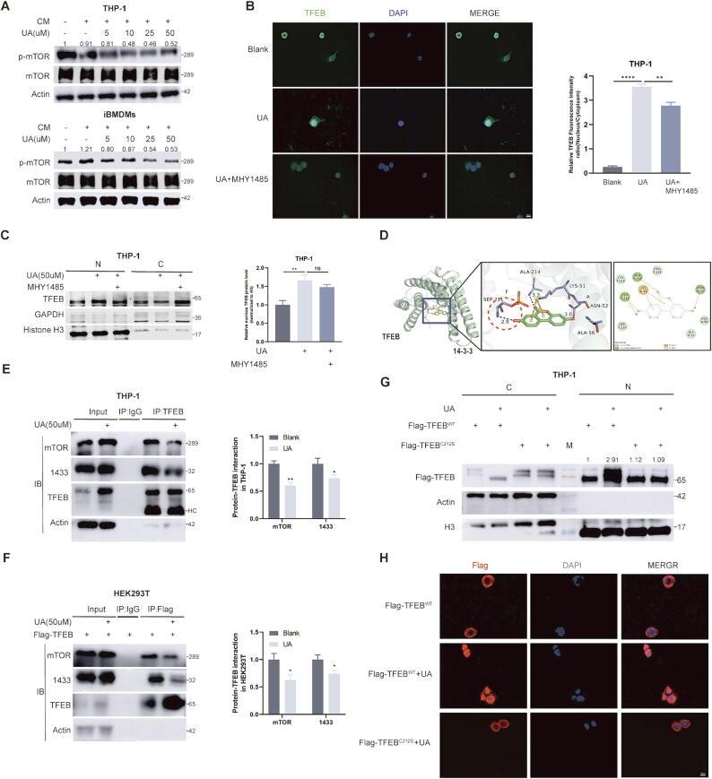 https://cdn.ncbi.nlm.nih.gov/pmc/blobs/ab7f/11954813/b69f2c788484/gr4.jpg