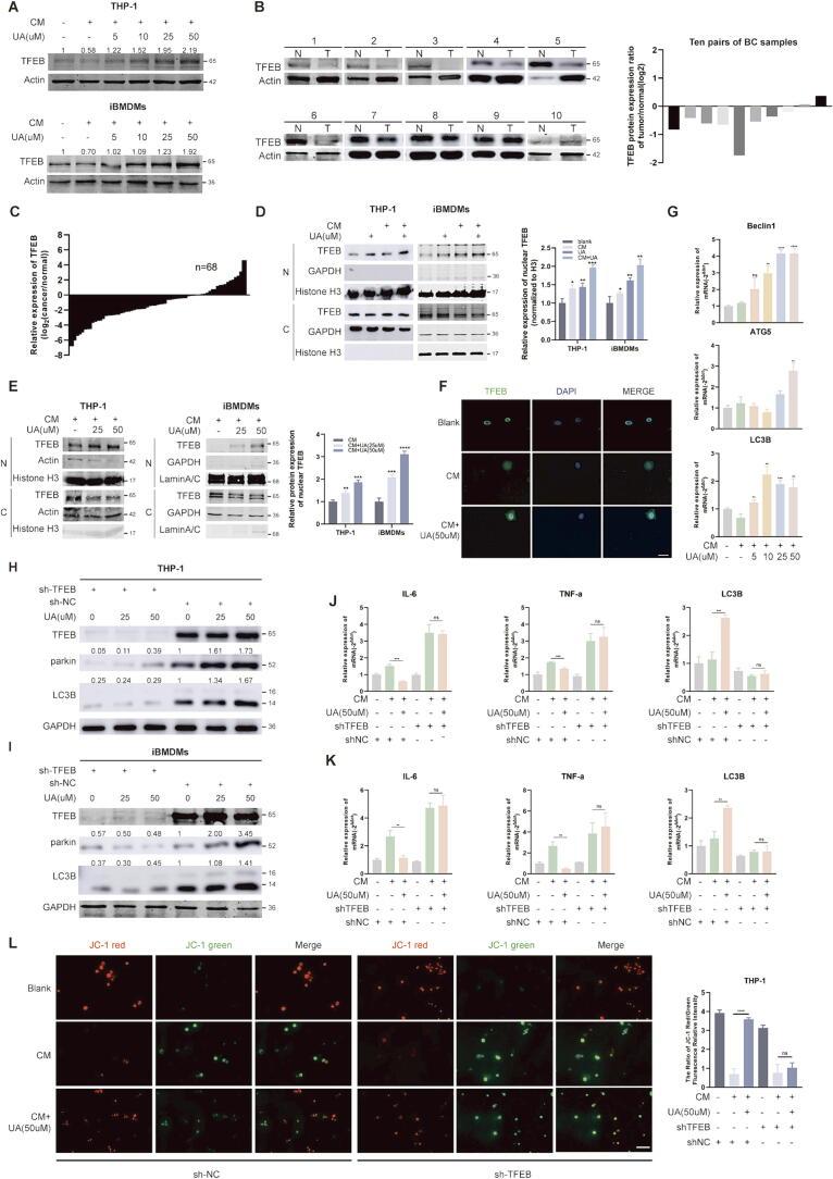 https://cdn.ncbi.nlm.nih.gov/pmc/blobs/ab7f/11954813/f7bc6c3f07b4/gr3.jpg