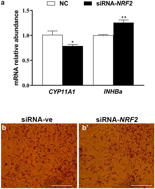 https://cdn.ncbi.nlm.nih.gov/pmc/blobs/ab81/8526460/dcaf79bd94b4/441_2021_3445_Fig8_HTML.jpg