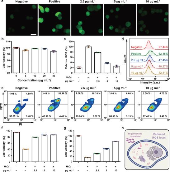 https://cdn.ncbi.nlm.nih.gov/pmc/blobs/ab81/9685437/051f1a7fb1a0/ADVS-9-2202933-g008.jpg