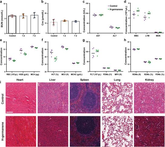 https://cdn.ncbi.nlm.nih.gov/pmc/blobs/ab81/9685437/20fa1270bffa/ADVS-9-2202933-g006.jpg