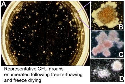 https://cdn.ncbi.nlm.nih.gov/pmc/blobs/ab83/2931707/7381117c5f5a/pone.0012518.g004.jpg