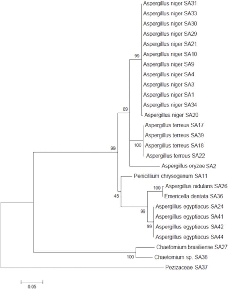 https://cdn.ncbi.nlm.nih.gov/pmc/blobs/ab86/10580895/6521c4e6f401/jmb-33-9-1238-f1.jpg