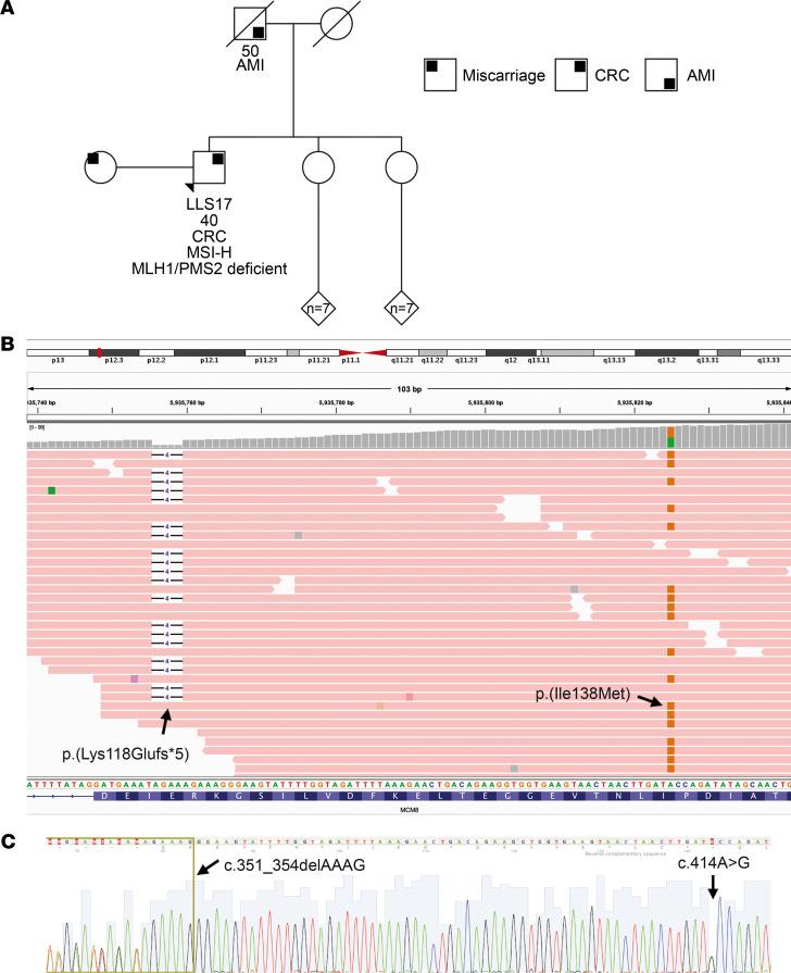 https://cdn.ncbi.nlm.nih.gov/pmc/blobs/ab87/7526538/1c0f763a7fa1/jciinsight-5-140698-g230.jpg