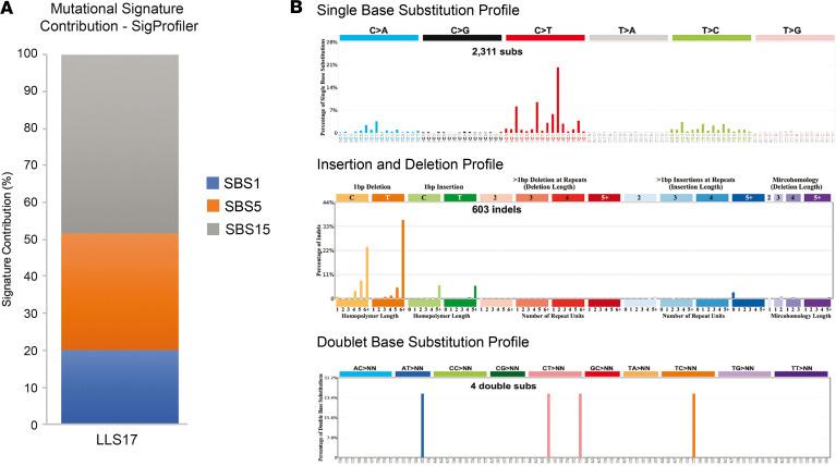 https://cdn.ncbi.nlm.nih.gov/pmc/blobs/ab87/7526538/6cfdb3ad83d0/jciinsight-5-140698-g231.jpg