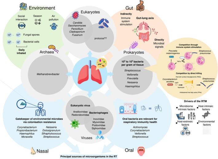 https://cdn.ncbi.nlm.nih.gov/pmc/blobs/ab88/12035874/805c634f7b62/MBT2-18-e70147-g004.jpg