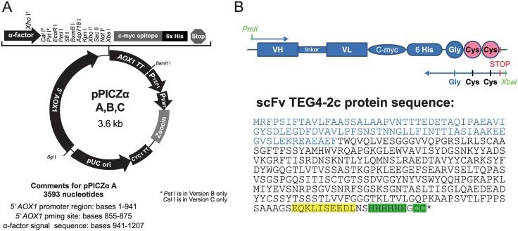 https://cdn.ncbi.nlm.nih.gov/pmc/blobs/ab88/5268420/544a932620ef/pone.0170305.g001.jpg