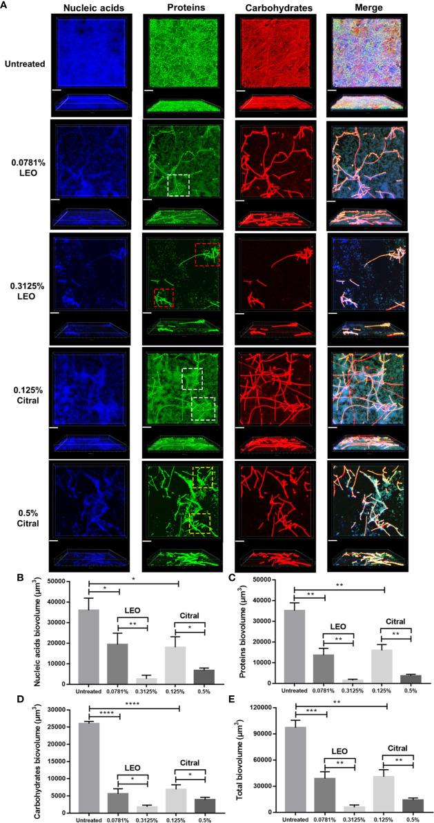 https://cdn.ncbi.nlm.nih.gov/pmc/blobs/ab8c/7783362/38df68cdf065/fcimb-10-603858-g005.jpg