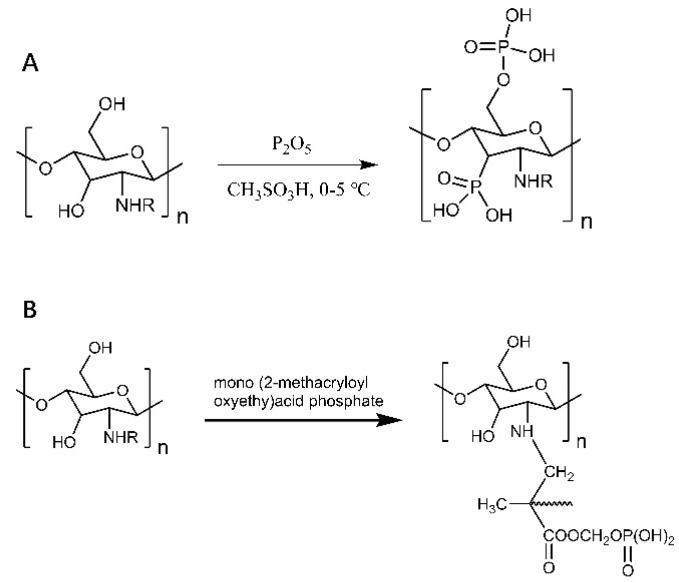 https://cdn.ncbi.nlm.nih.gov/pmc/blobs/ab90/8912330/1b658328bea4/polymers-14-00958-g002.jpg